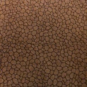 Meet your Posher, Carol